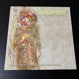 Pharmacist - Flourishing Extremities on Unspoiled Mental Grounds - VINILO USA