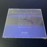 Dark Tranquillity - Enter Suicidal Angels - BRA