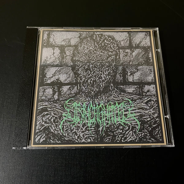 Disincarnated - Disincarnated/Their Debris Mortals - CHN (con mini poster)