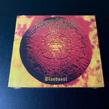 Fleshcrawl - Bloodsoul - SLIPCASE BRA